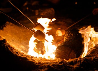   Bonfire on the beach  